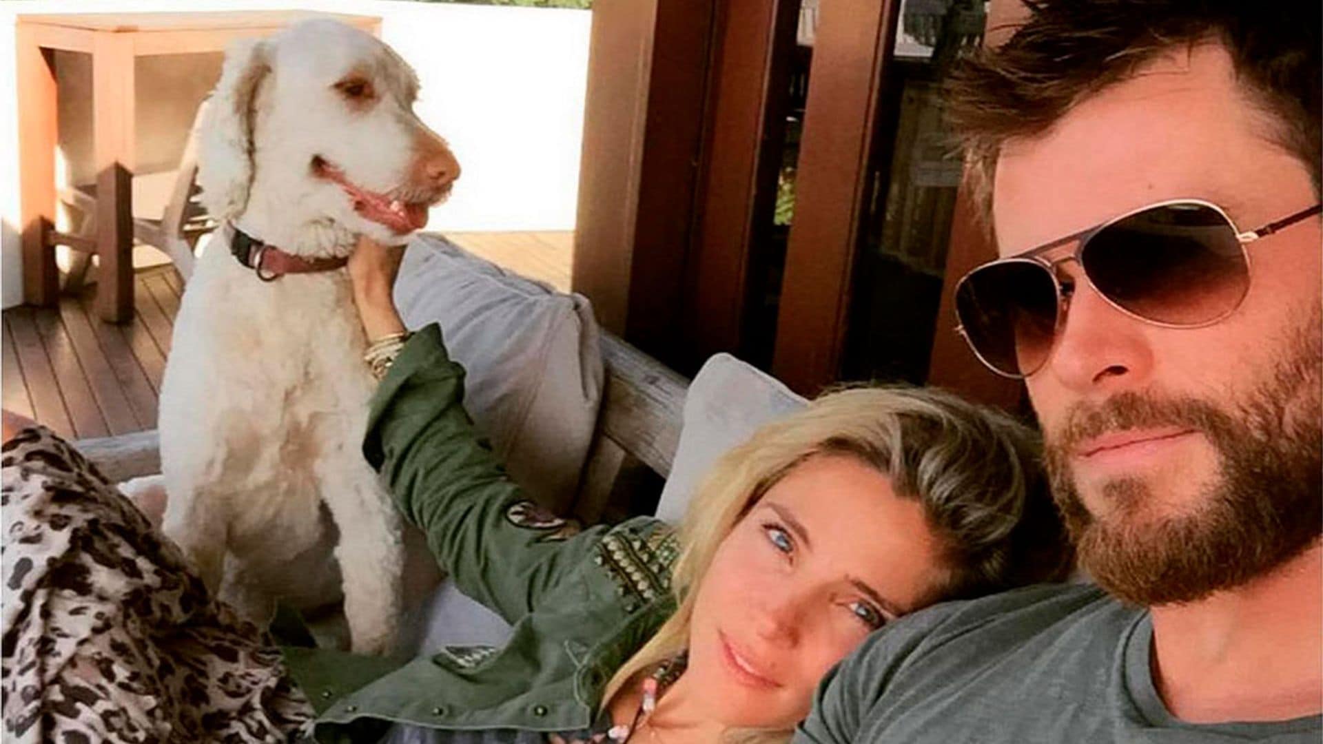 ¡Un susto con final feliz! Encuentran al perro de Elsa Pataky y Chris Hemsworth