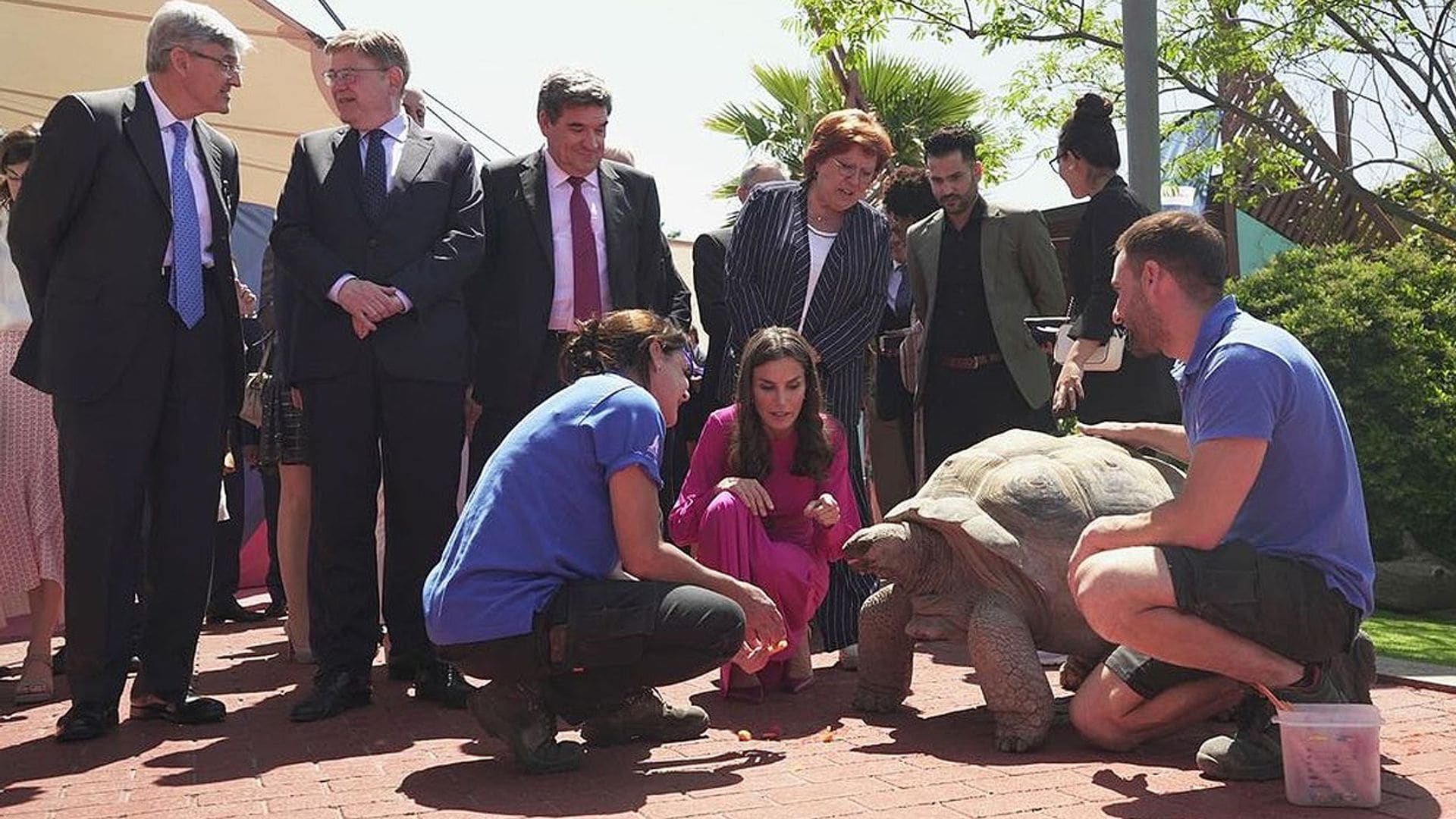 Los planes alternativos de la Reina en su visita a Valencia: su encuentro con Darwin y las falleras mayores