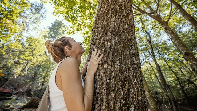 mujer arbol