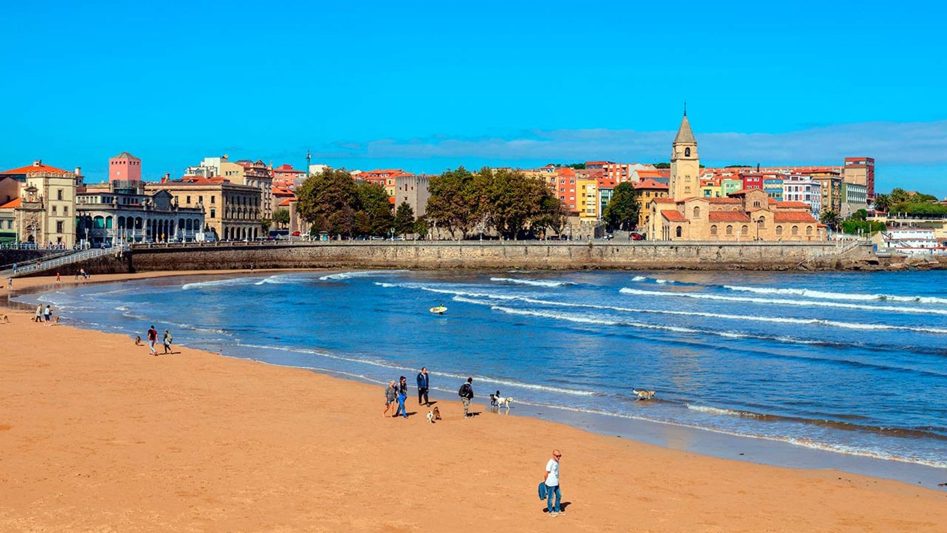 ¿Viajas con tu perro? Gijón es una de las mejores ciudades para ir con tu mascota