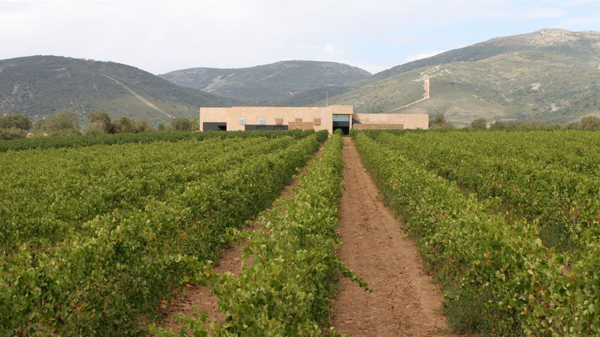 Vallegarcía: 20 años de una bodega emblemática