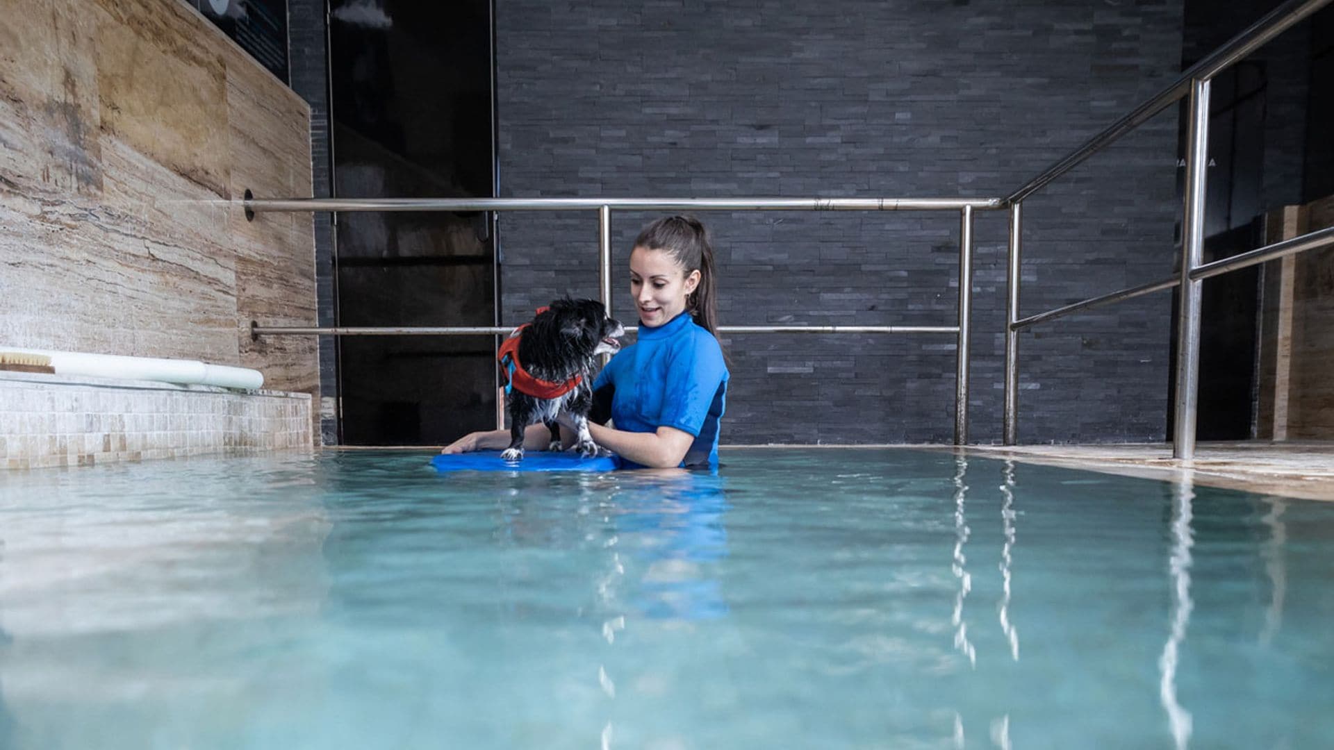 Rehabilitación en el agua para perros: un tratamiento para ayudarles a recuperar la movilidad