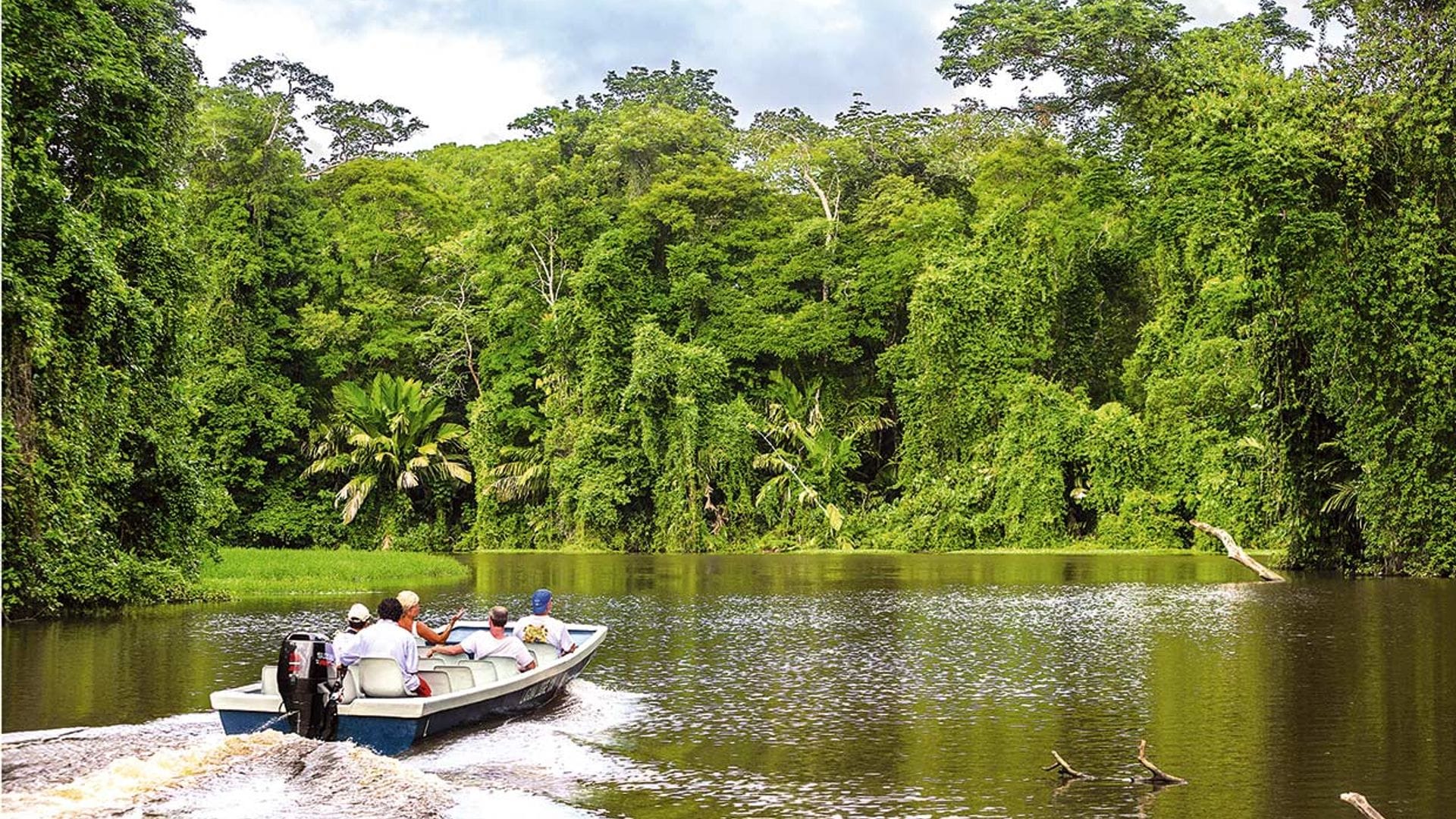 cota rica tortuguero crpt0129