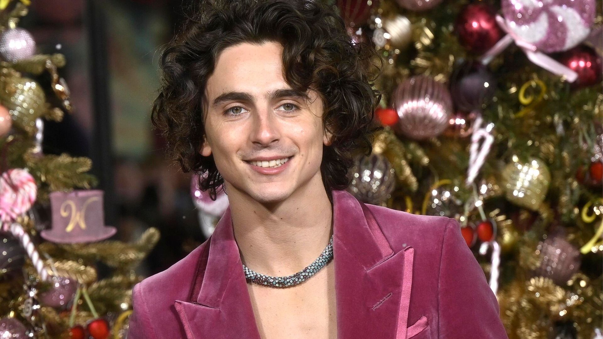 Timothée Chalamet deslumbra en premier de Wonka por su joyería