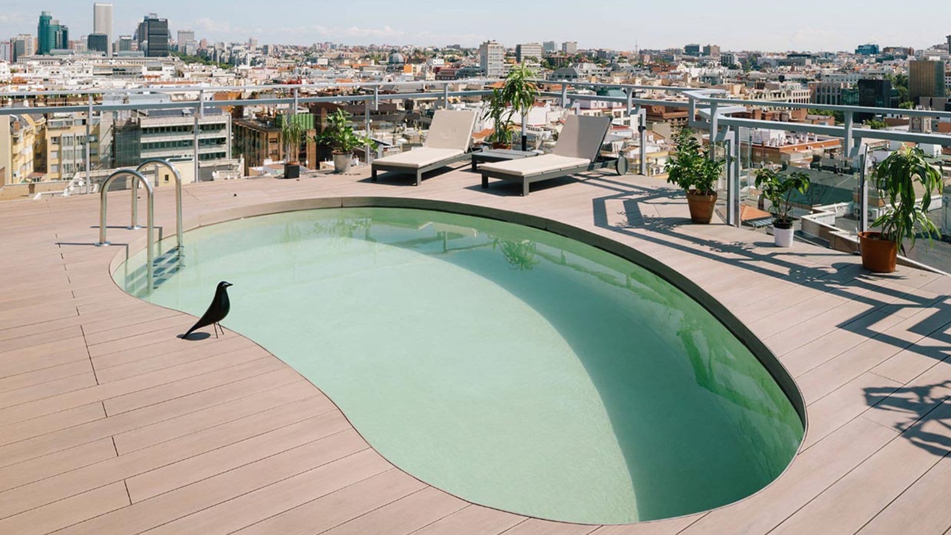 Si estás pensando en construirte una piscina, mira cómo son las mejores