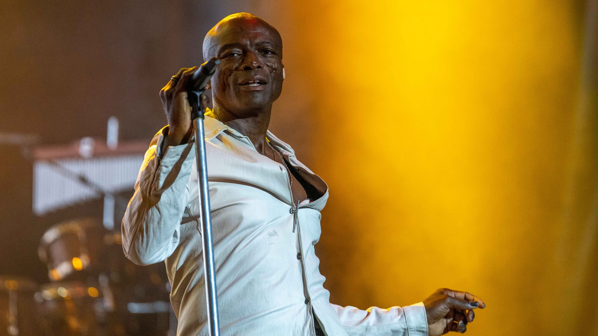 El cantante Seal