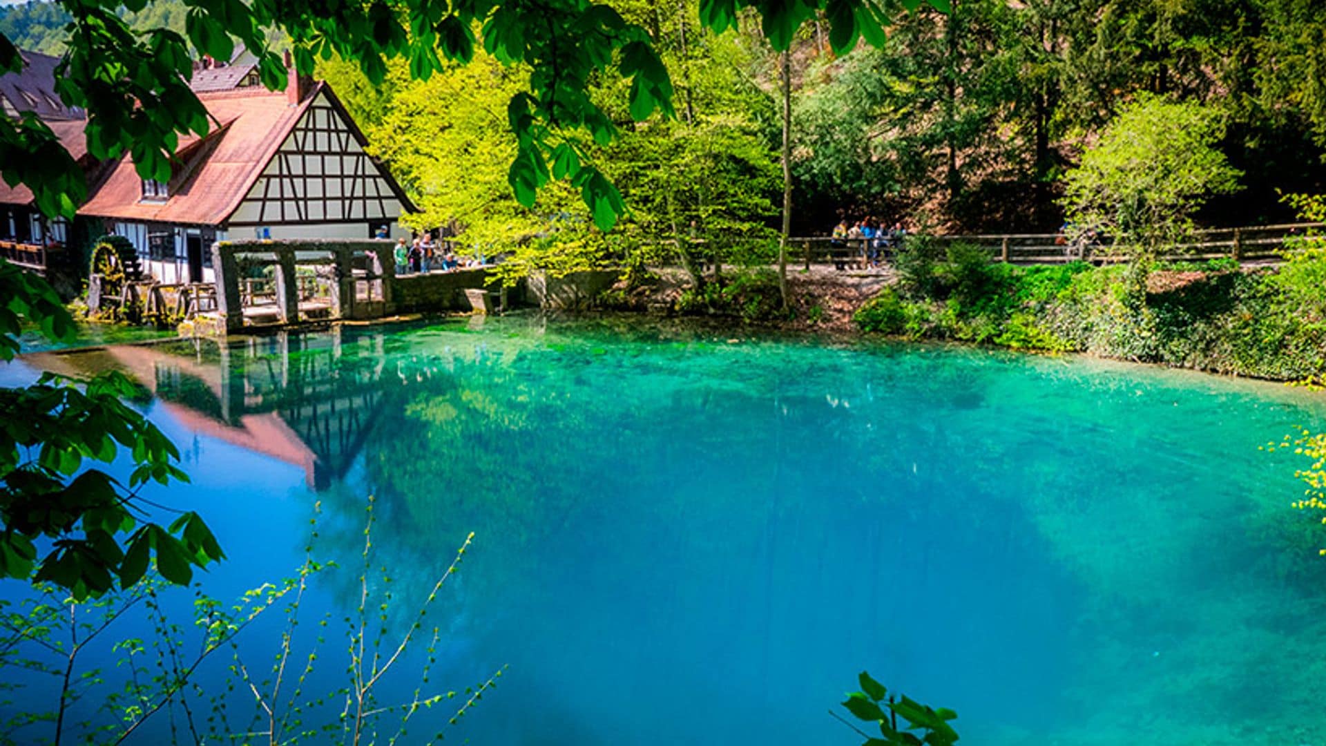 Los espacios naturales más fascinantes de Alemania