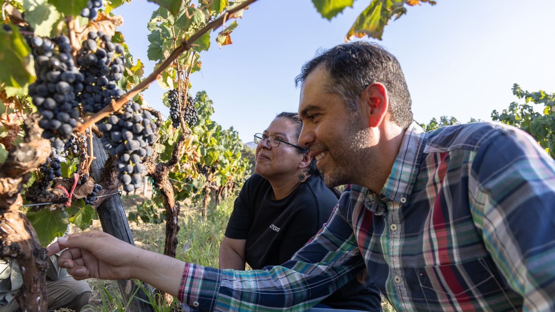 El conocimiento de Anny Peralta suma a la experiencia a través de su especialidad por la preservación de la biodiversidad en Baja California.