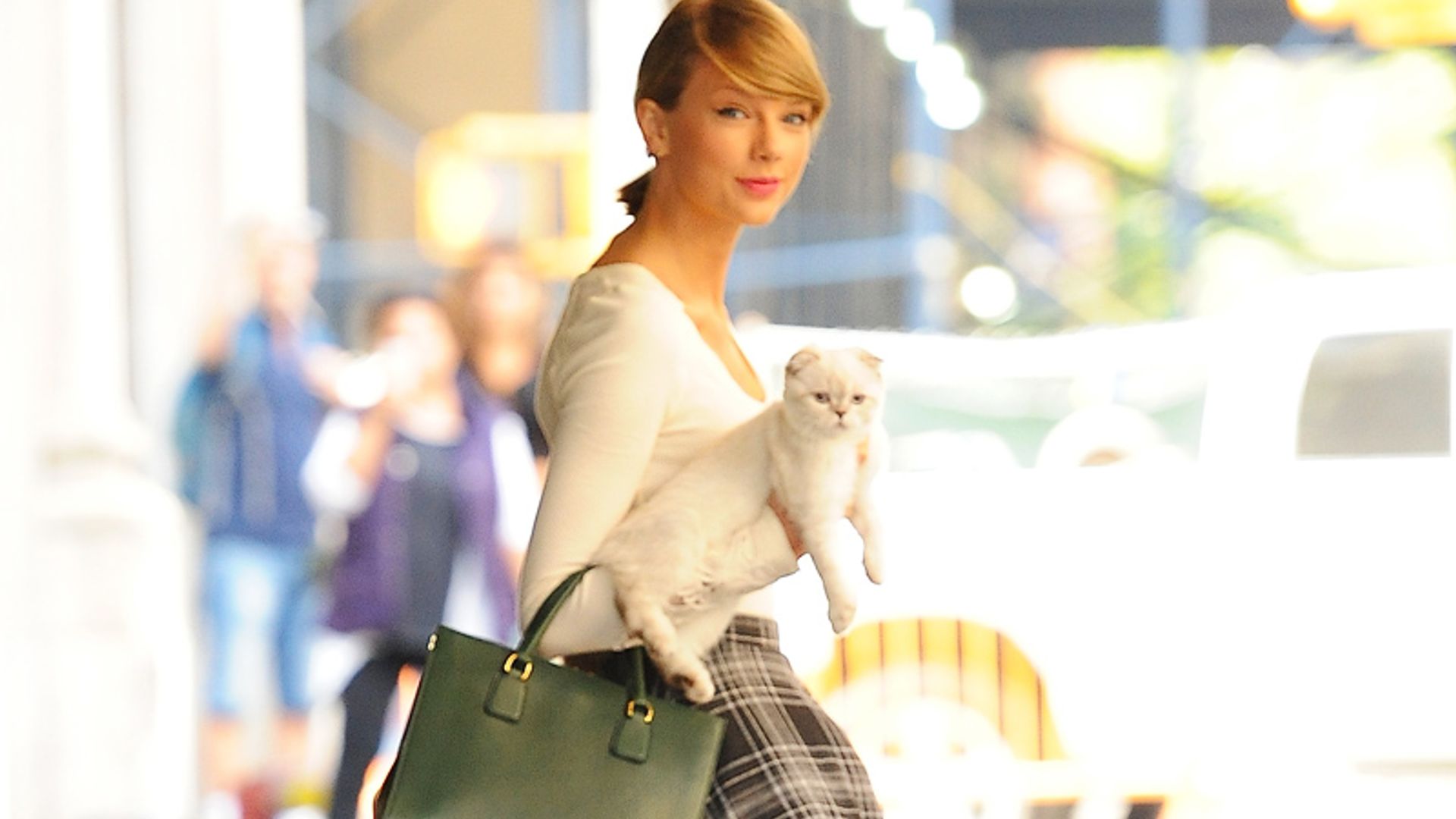 Taylor Swift y los nuevos 'must-have' para los amantes de los gatos