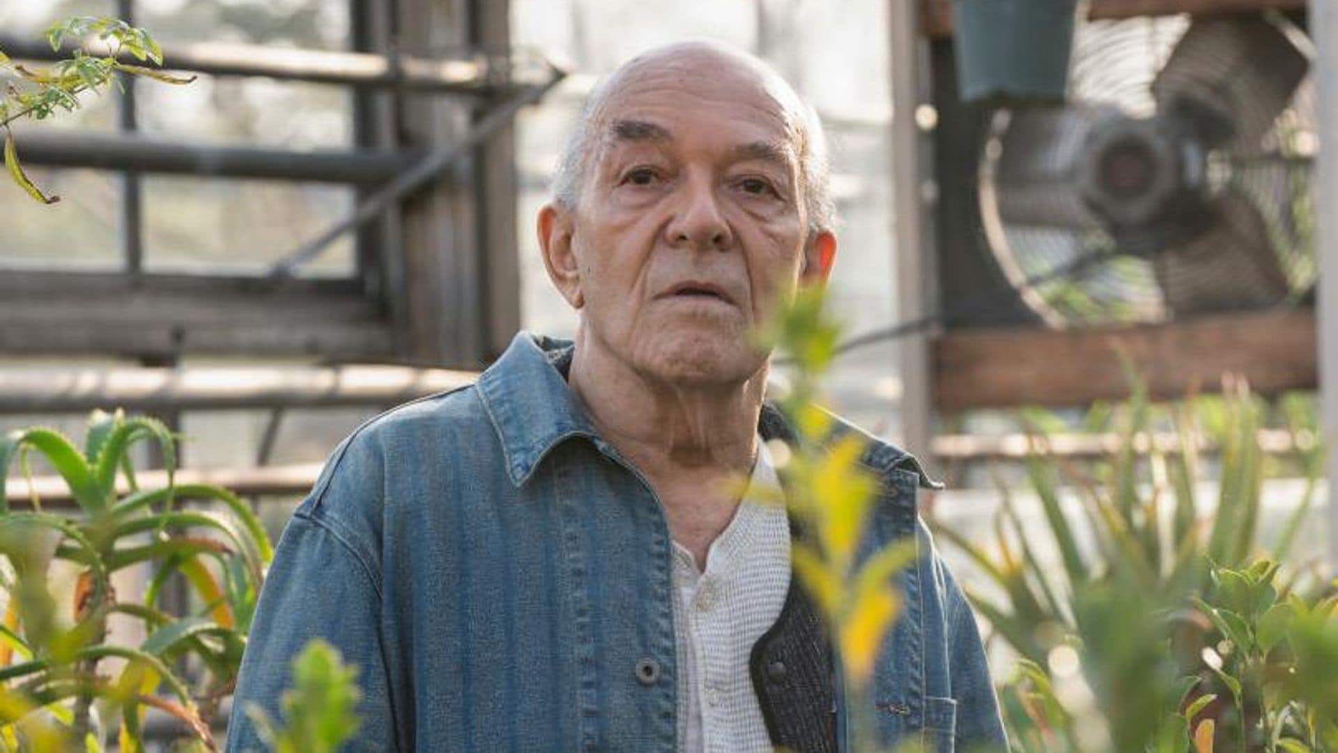 Mark Margolis, ‘Héctor Salamanca’ en ‘Breaking Bad’, fallece a los 83 años