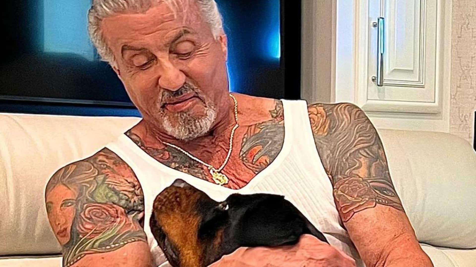 Sylvester Stallone explica el motivo de su divorcio y niega que sea por culpa de un perro