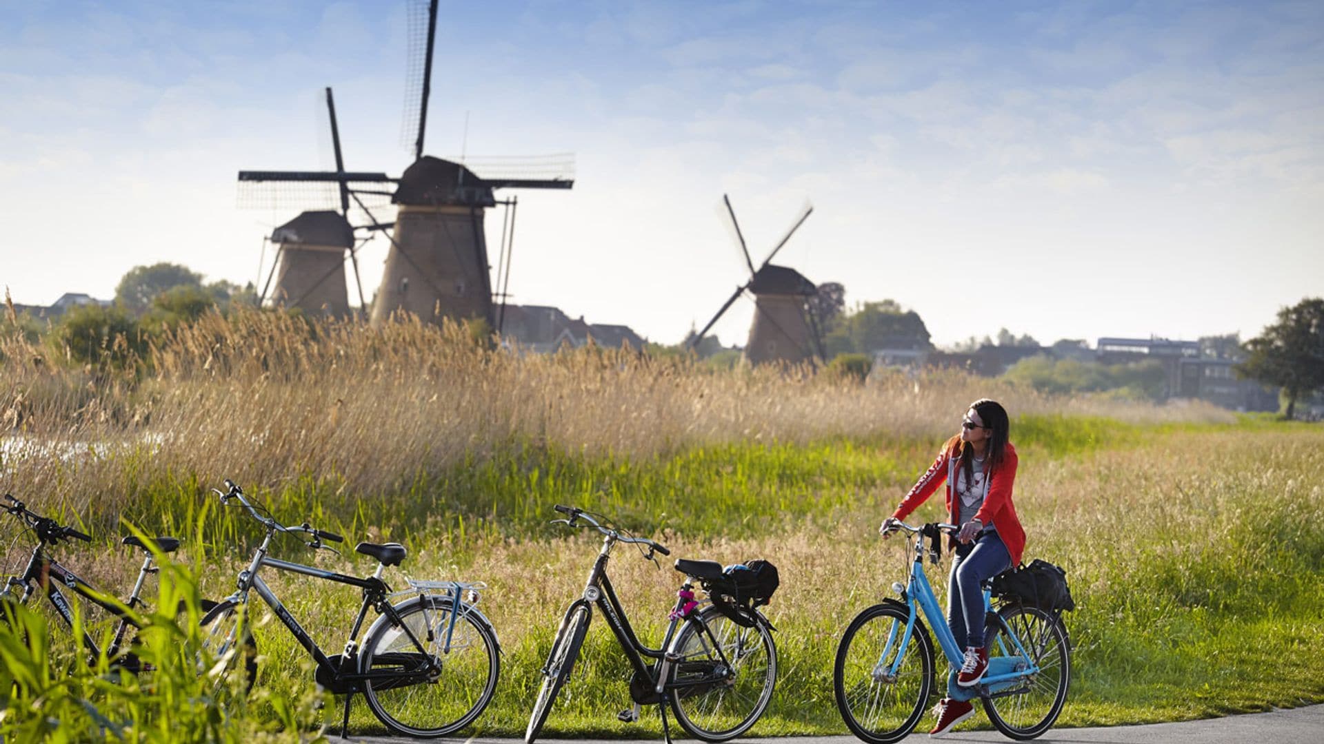 Desde Rotterdam en bicicleta a los molinos de Kinderdijk