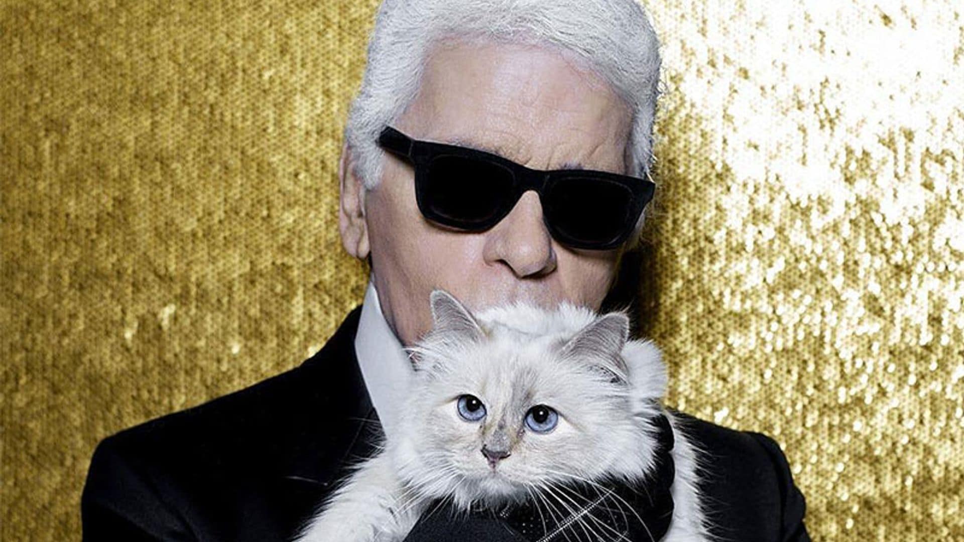 Choupette, la gatita de Karl Lagerfeld que heredará parte de su fortuna