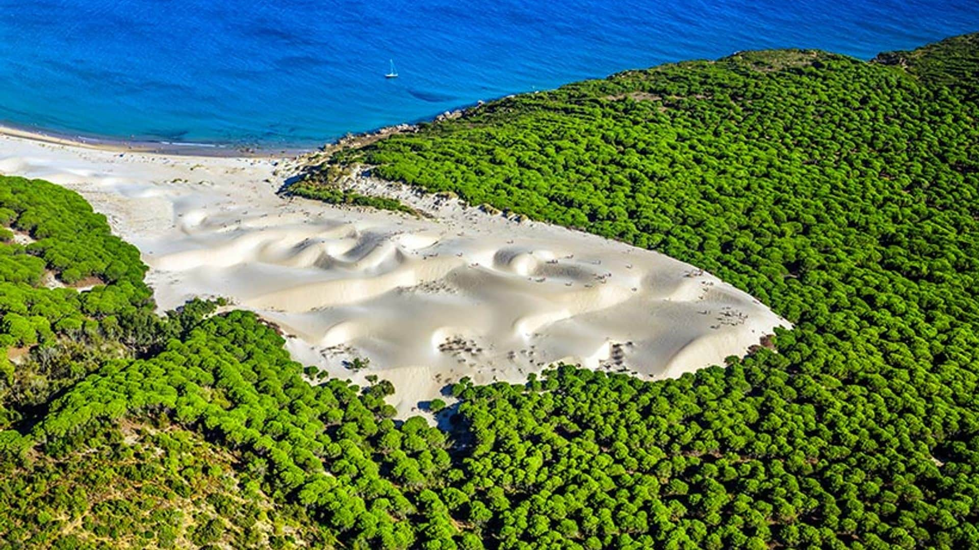 De ruta por la costa gaditana, de Vejer de la Frontera a la playa de Bolonia