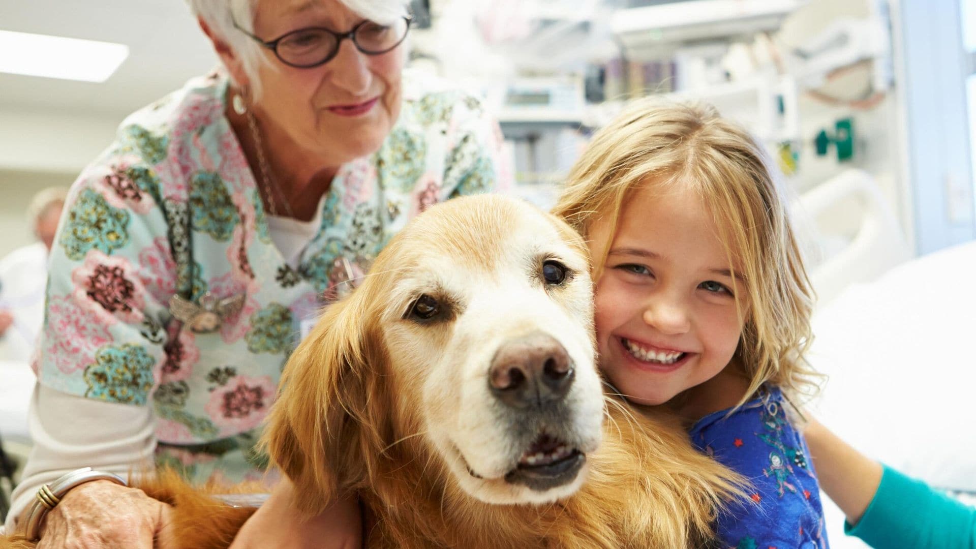 Los perros, ¡una de las mejores terapias pediátricas!