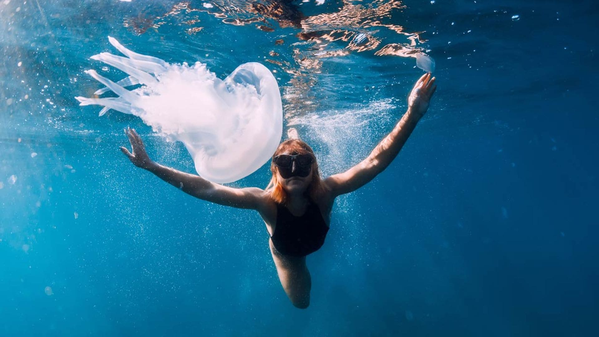 Así puedes escapar de las medusas este verano