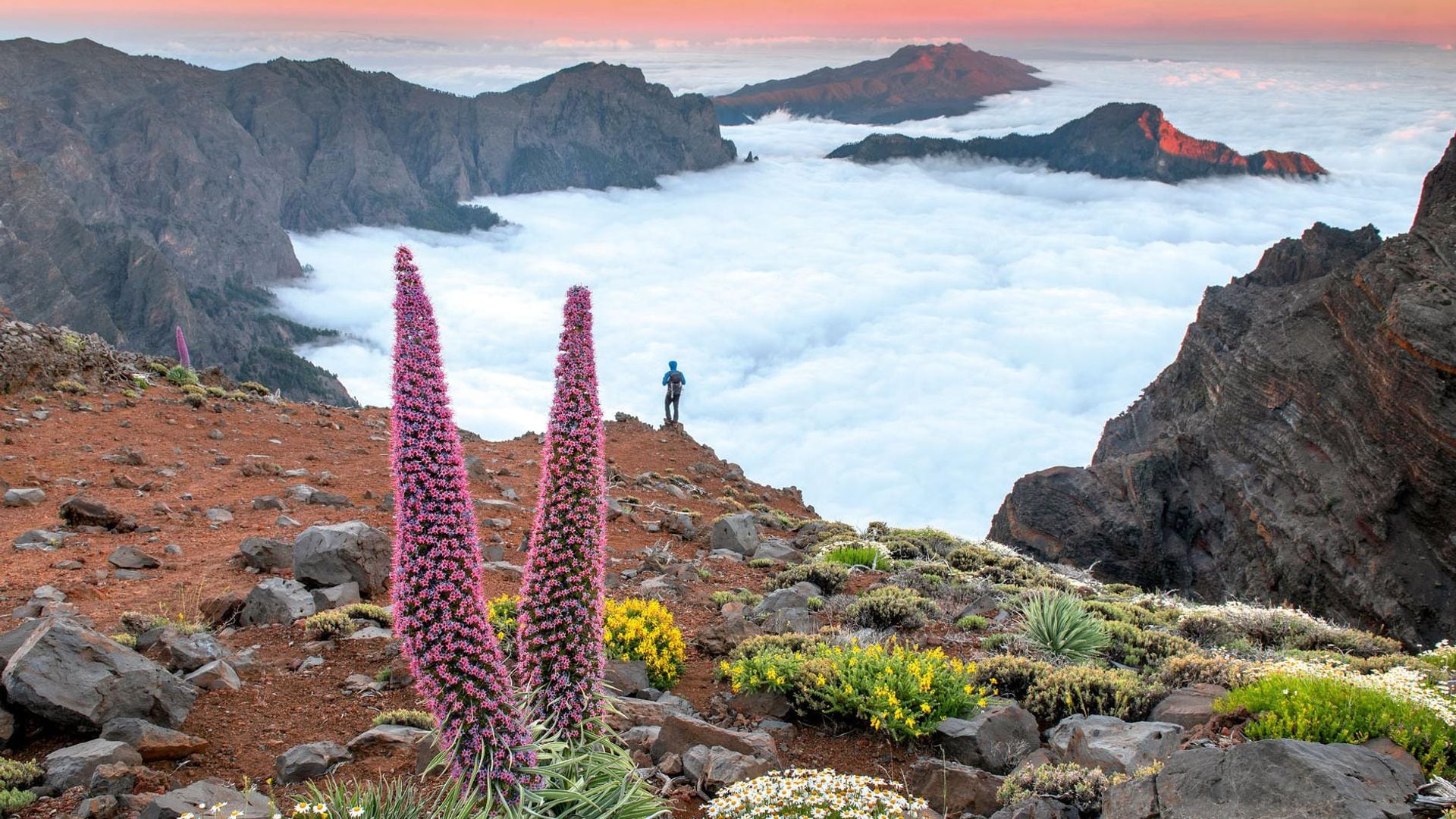 Caldera de Taburiente (La Palma): maravilla universal