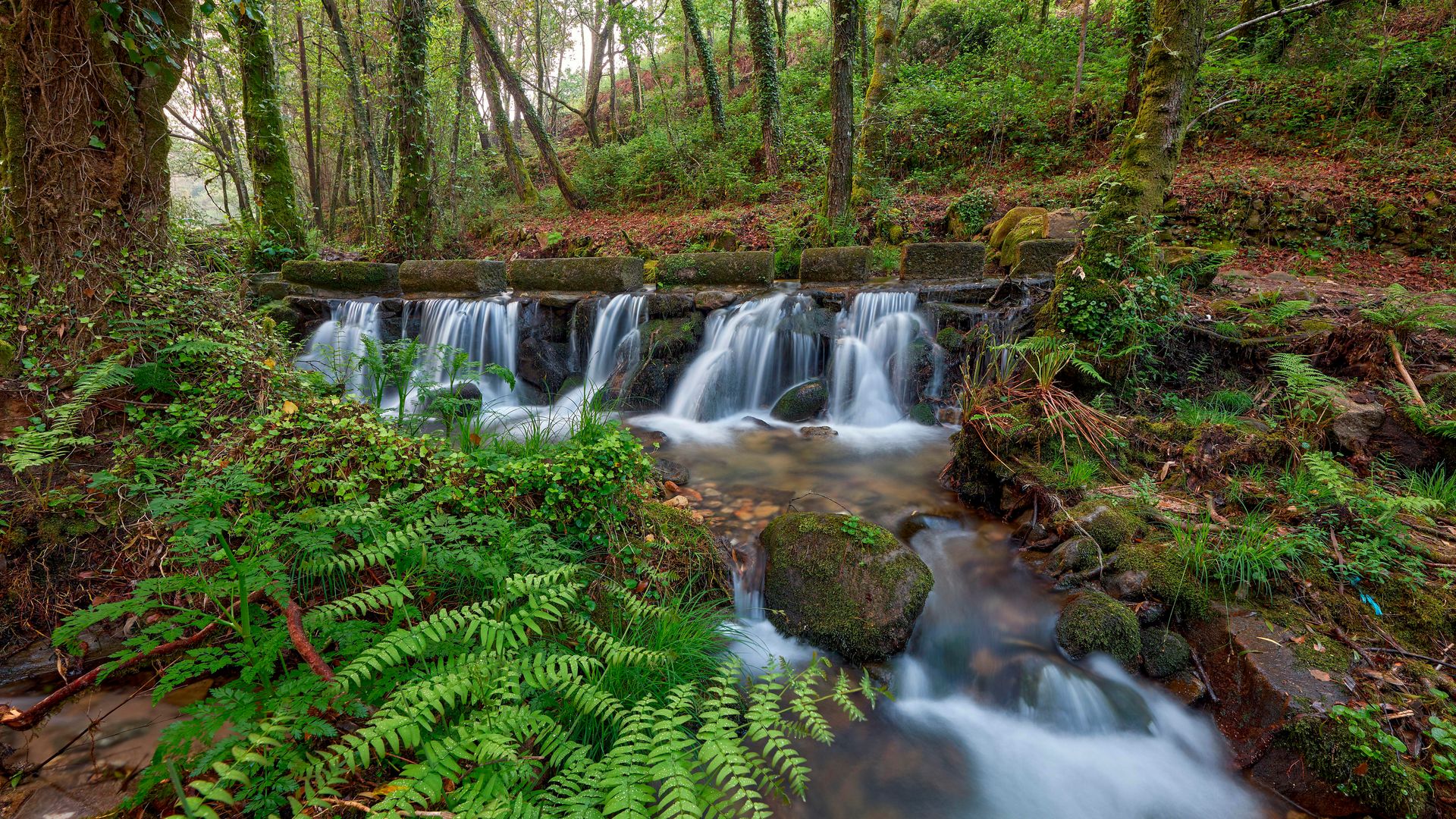 Pequeñas cascadas en el parque natural del Monte Aloia, en Pontevedra, Galicia