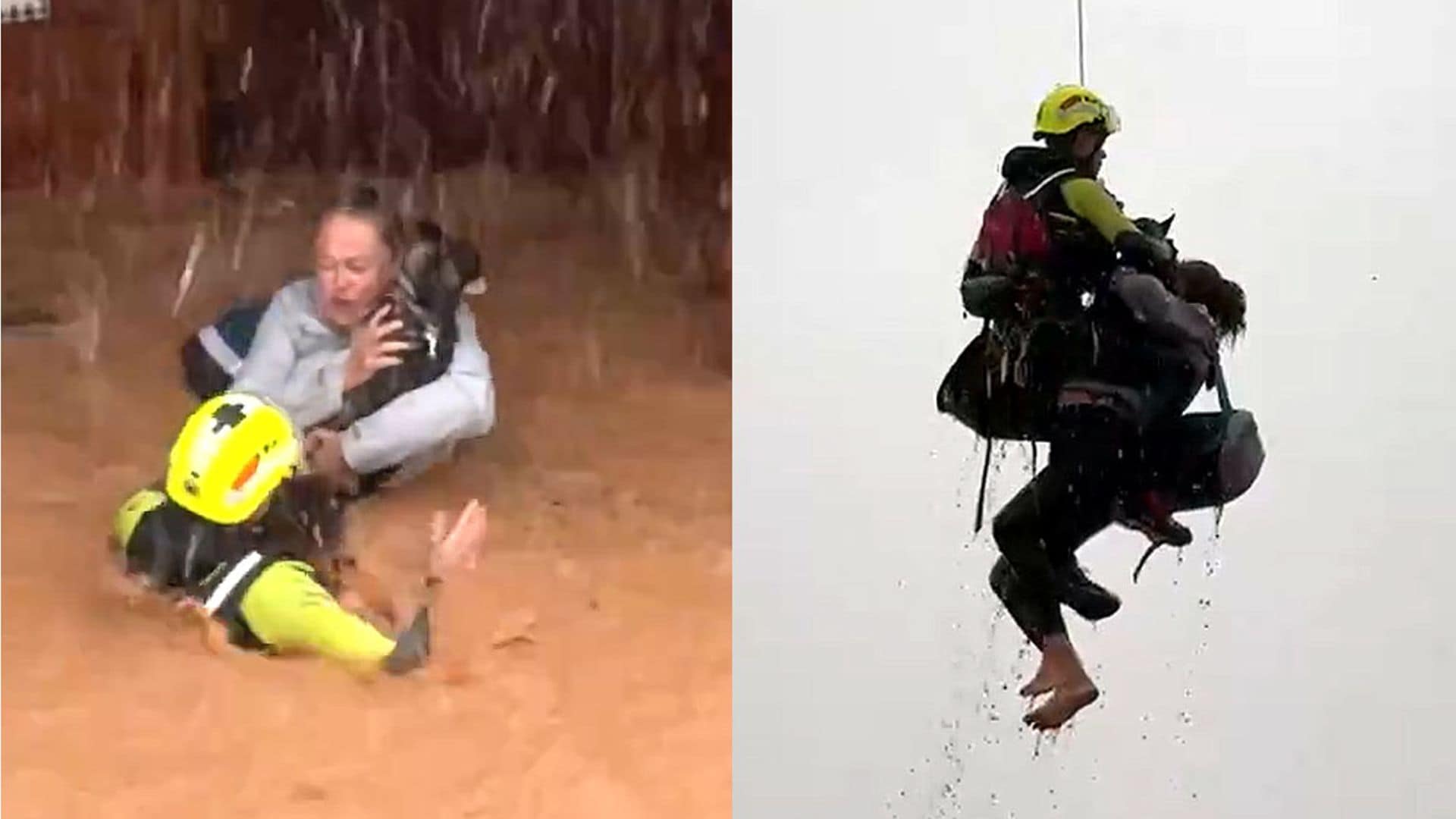 El momento del rescate de una vecina de Utiel y sus mascotas