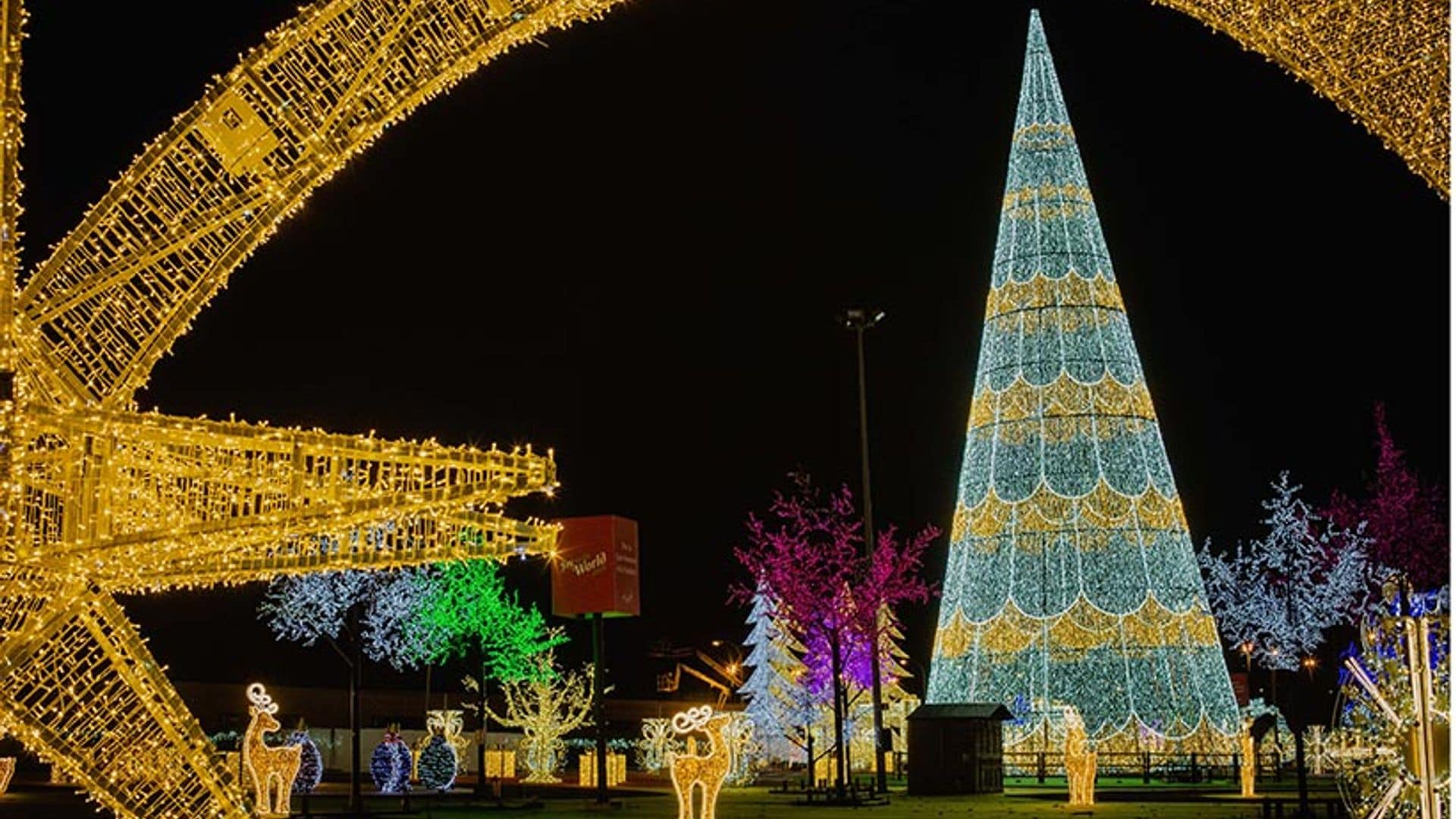 Madrid brilla en Navidad, marca estos planes en tu agenda