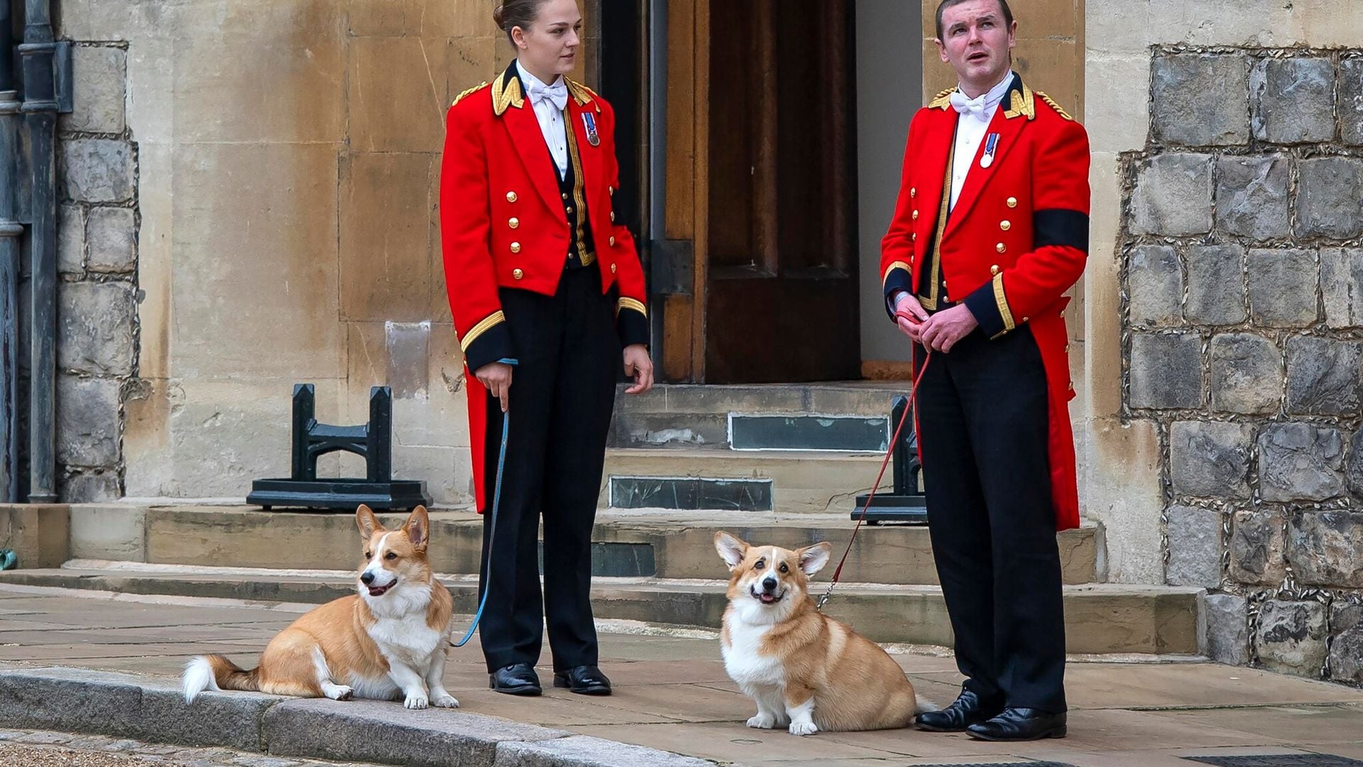 Estas son las estrictas instrucciones que dejó la reina Isabel a su hijo Andrés para el cuidado de sus corgis