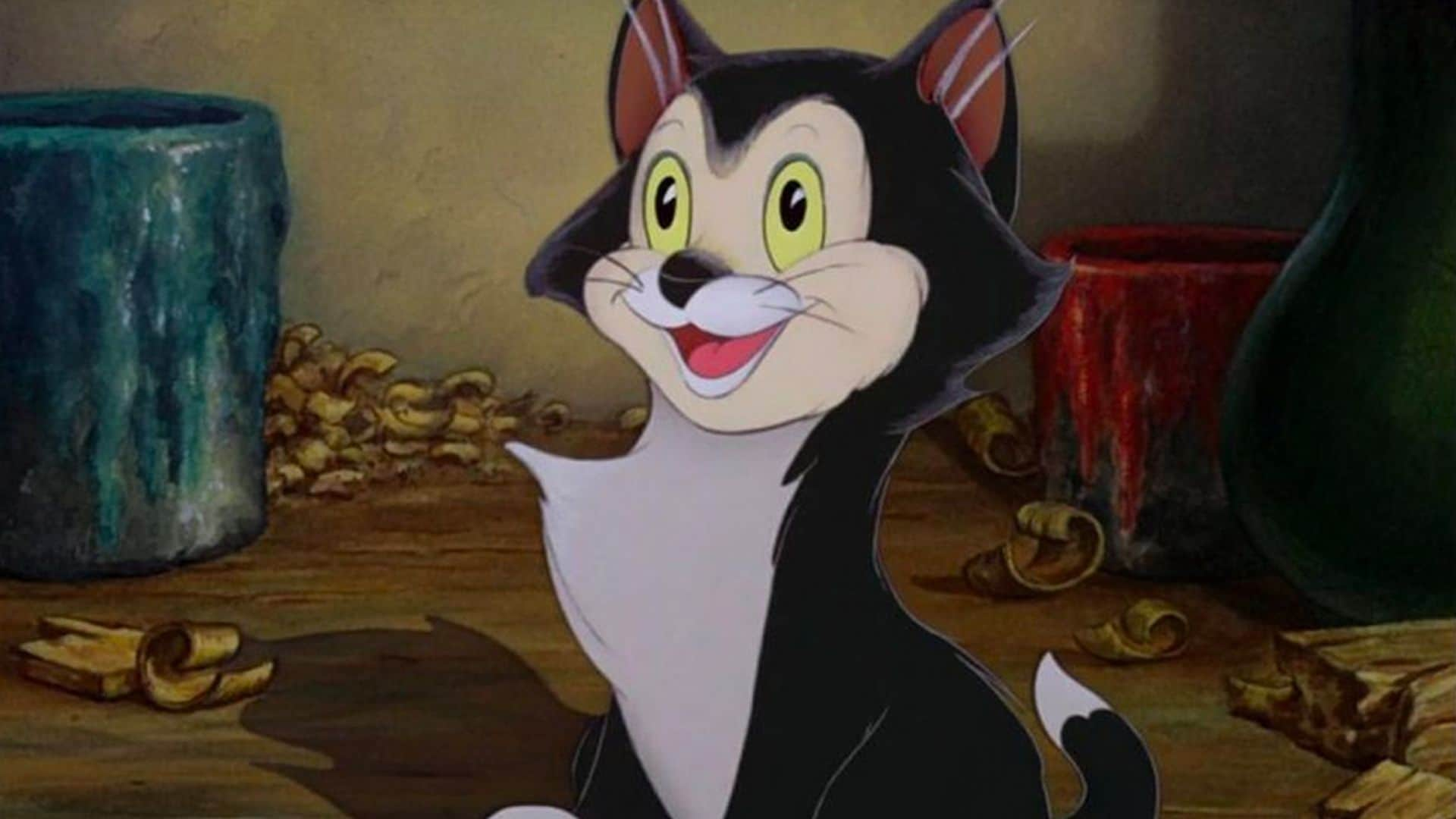 Nombres de gatos inspirados en las series y películas de nuestra infancia