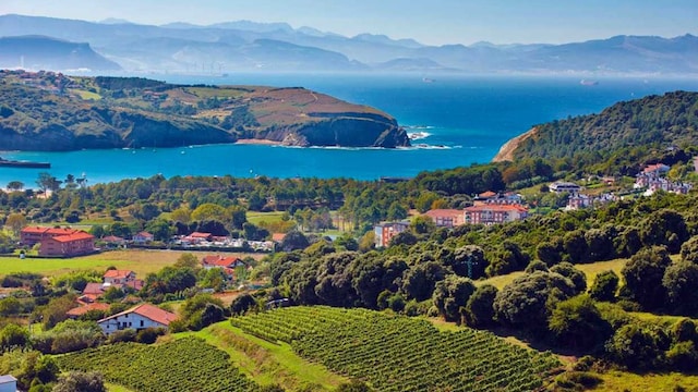 reserva de la biosfera de urdaibai bizkaia