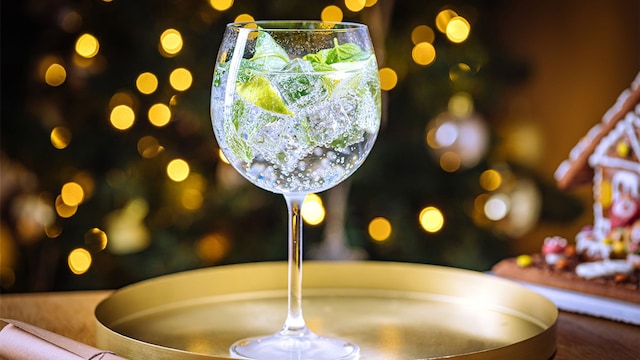 gintonic navidad adobe