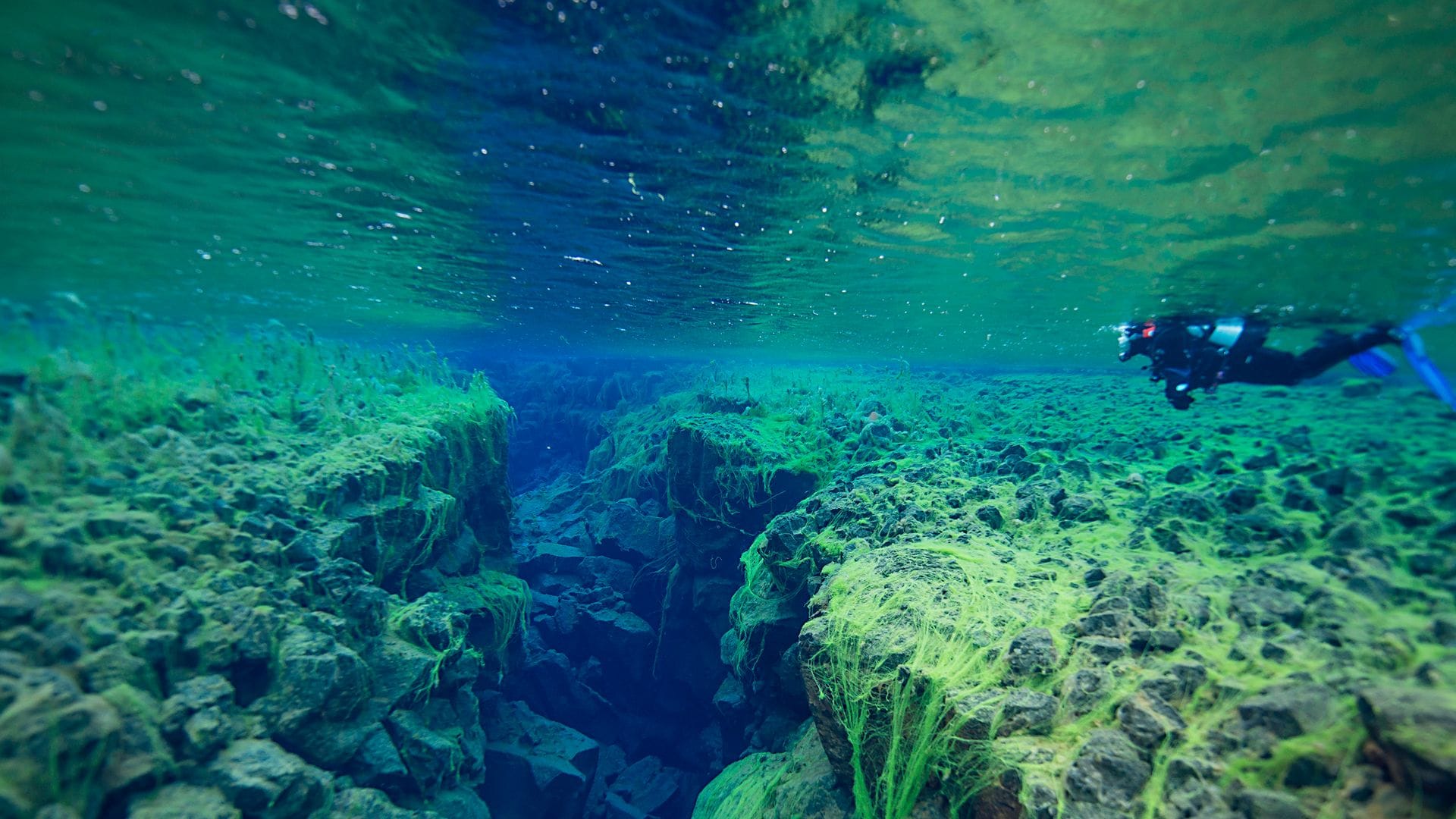 Buceando en la grieta de Silfra, Islandia