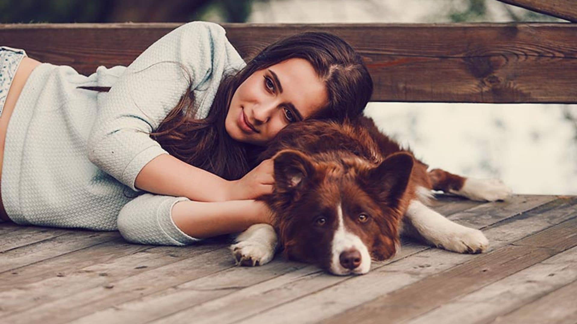 Así es un Border Collie con la familia