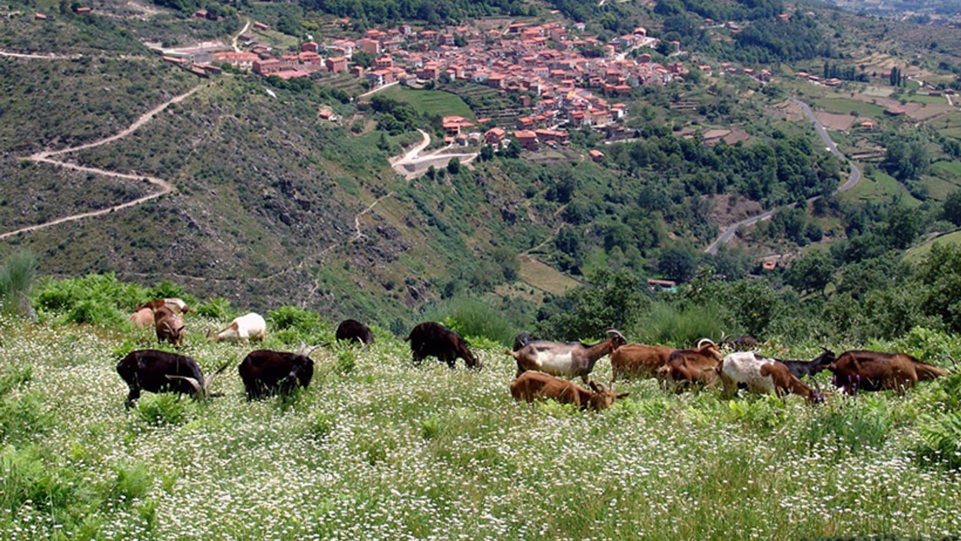 Un paseo por los pueblos más bonitos de La Vera