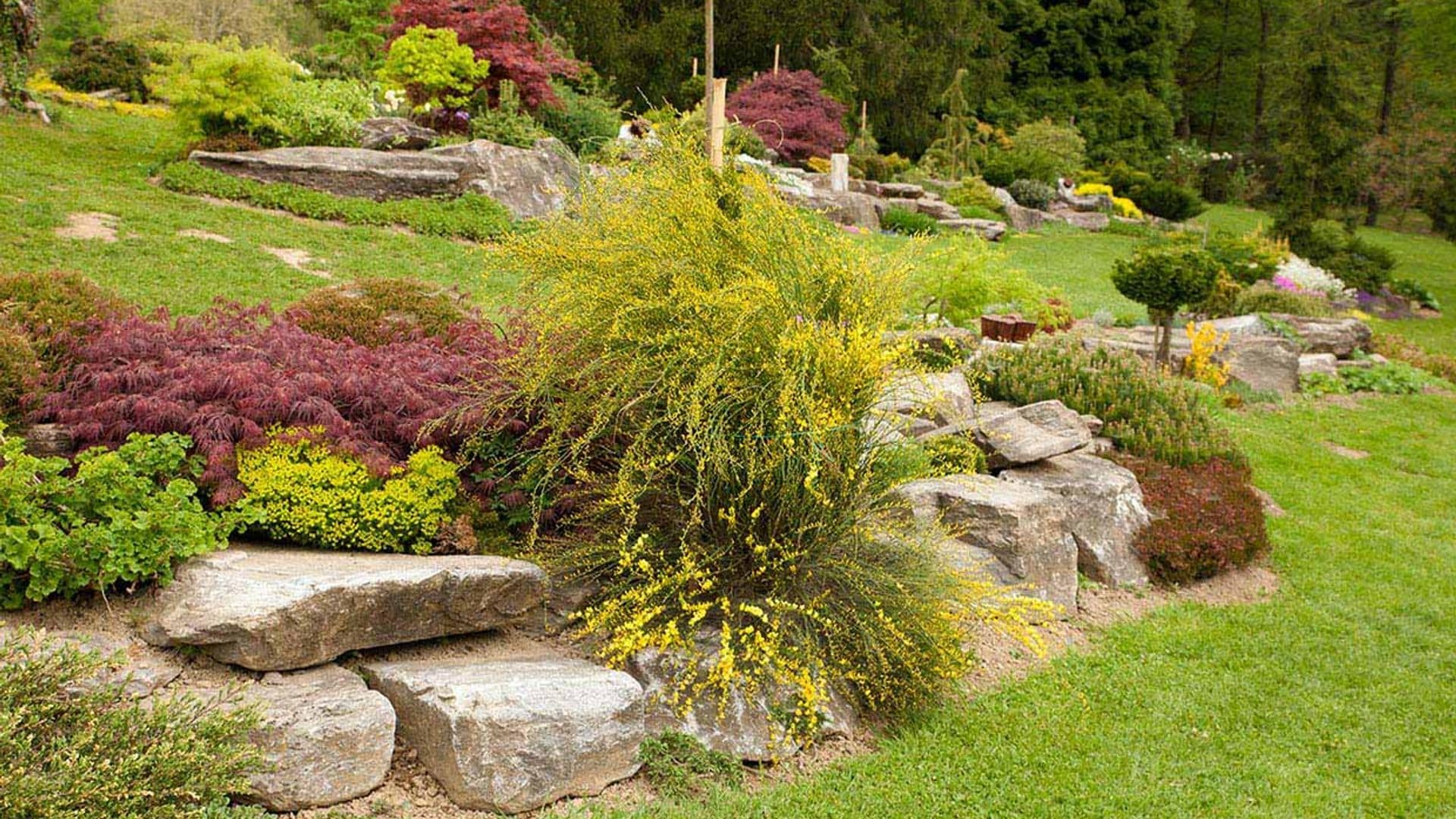 ¿Sabes cómo crear un jardín de rocalla?