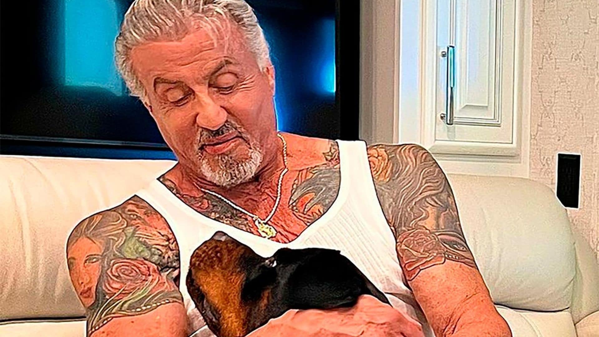 Sylvester Stallone se borra otro tatuaje de Jennifer Flavin, el primero lo sustituyó con un perro y ¿el segundo?