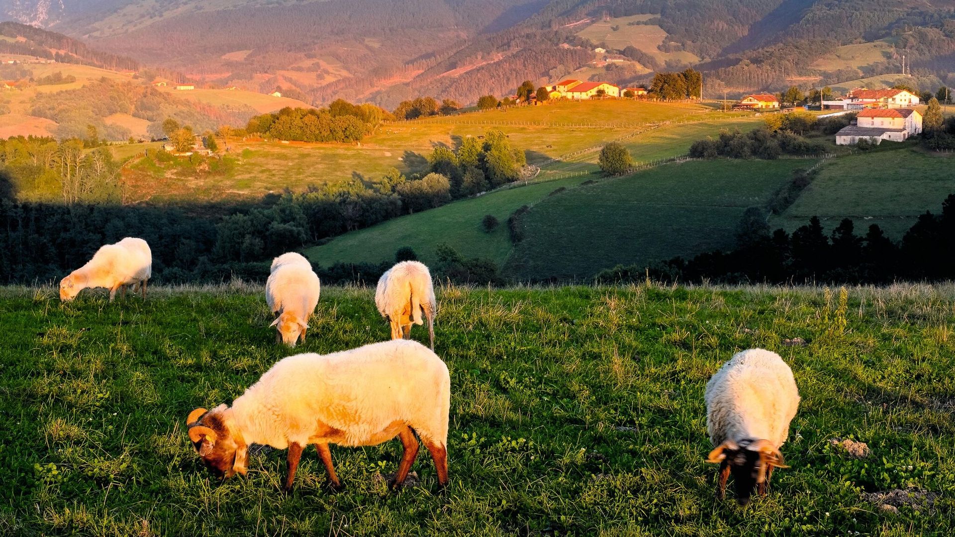 Comarca del Goierri: de ruta por las ‘Highlands’ vascas