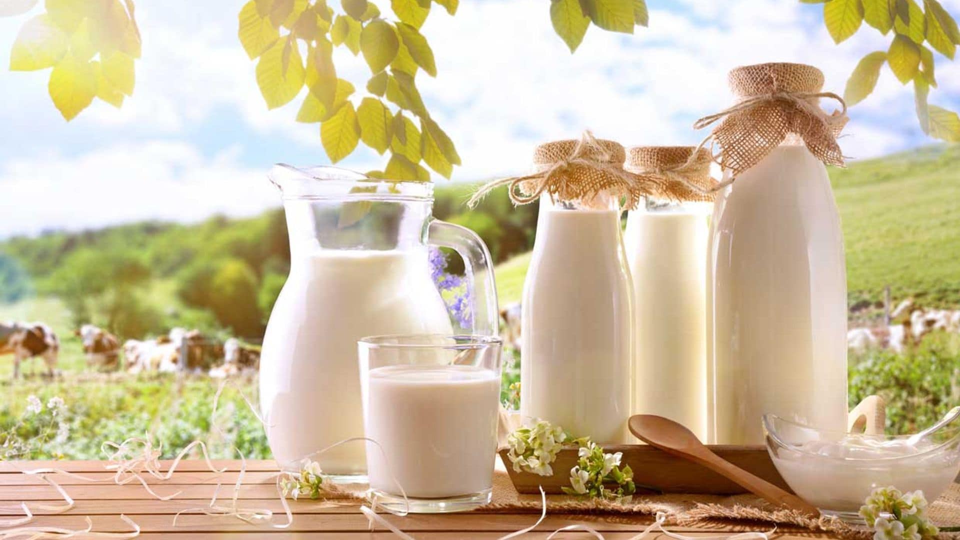 De vaca, de cabra o de oveja: ¿cuáles son las diferencias entre estos tipos de leche?