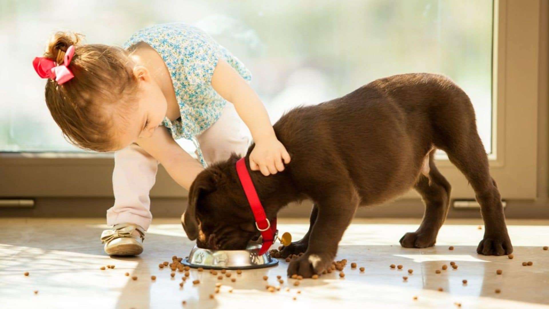 ¿Sabes que las mascotas pueden ayudar a la salud emocional de los niños?