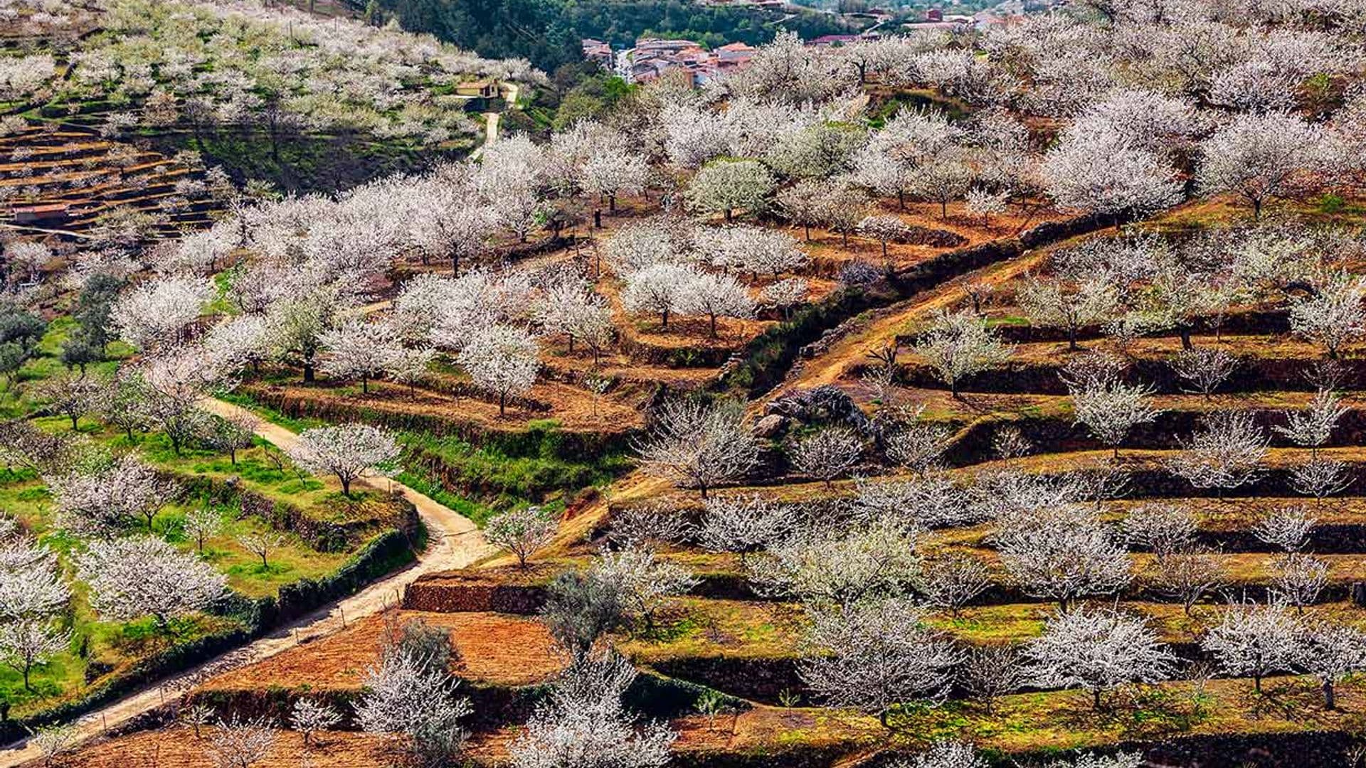 Marzo, un mes ideal para escapadas de fin de semana por España