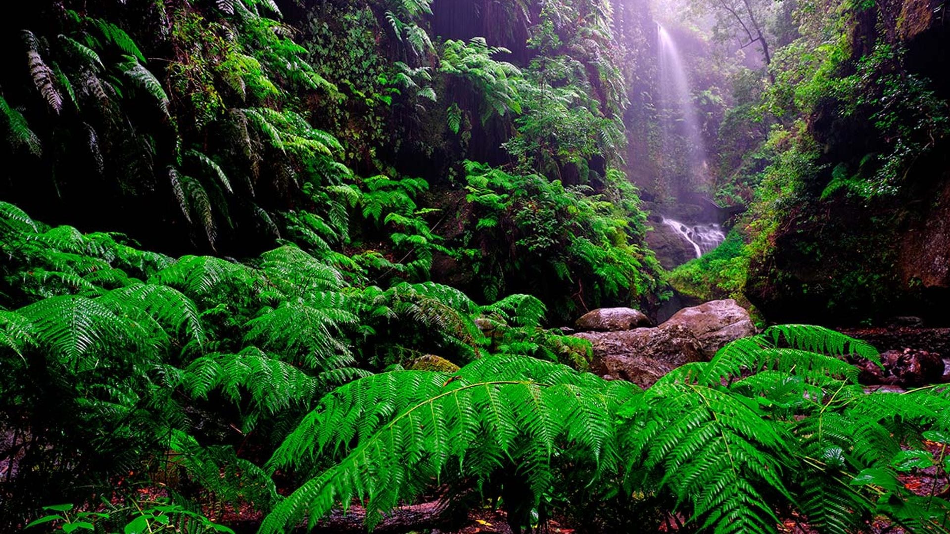 Los rincones de La Palma que cautivaron a George Clooney