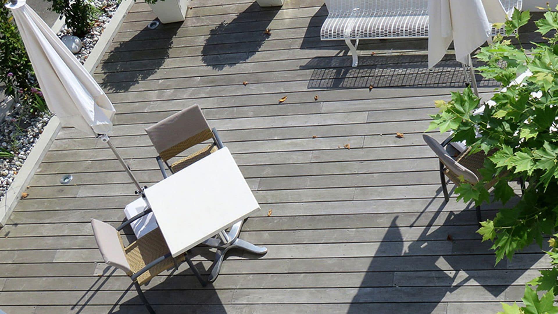 Fusiona terraza y vivienda con el 'tropical jungle'