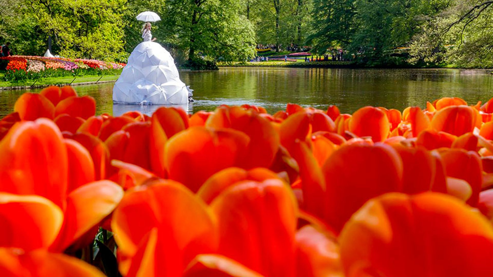 Keukenhof, el jardín más colorido de Europa en primavera 