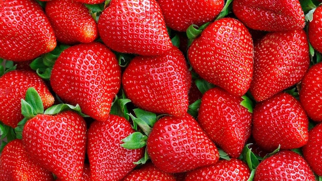 portada fresas age