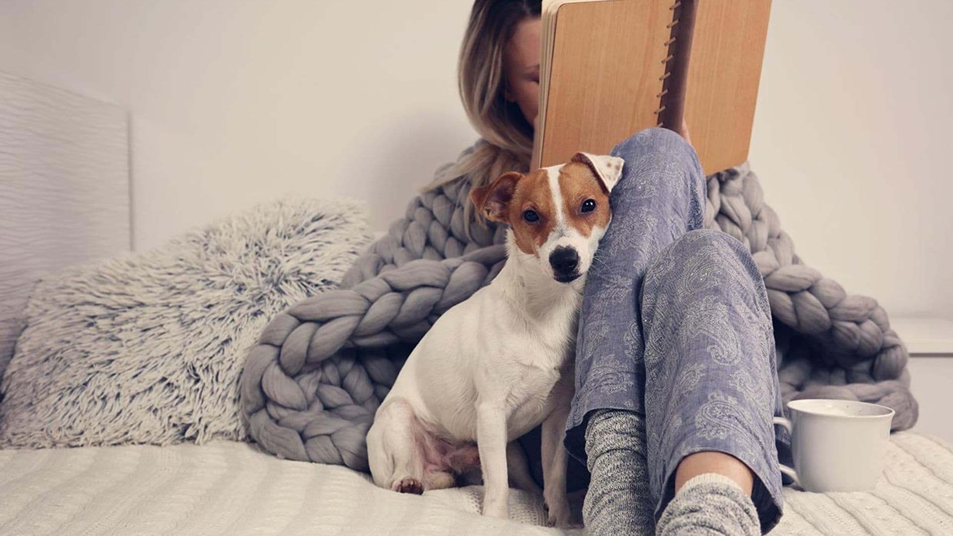 Razones científicas por las que el perro es el mejor amigo del ser humano