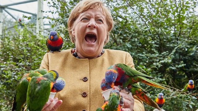 merkel cordon1