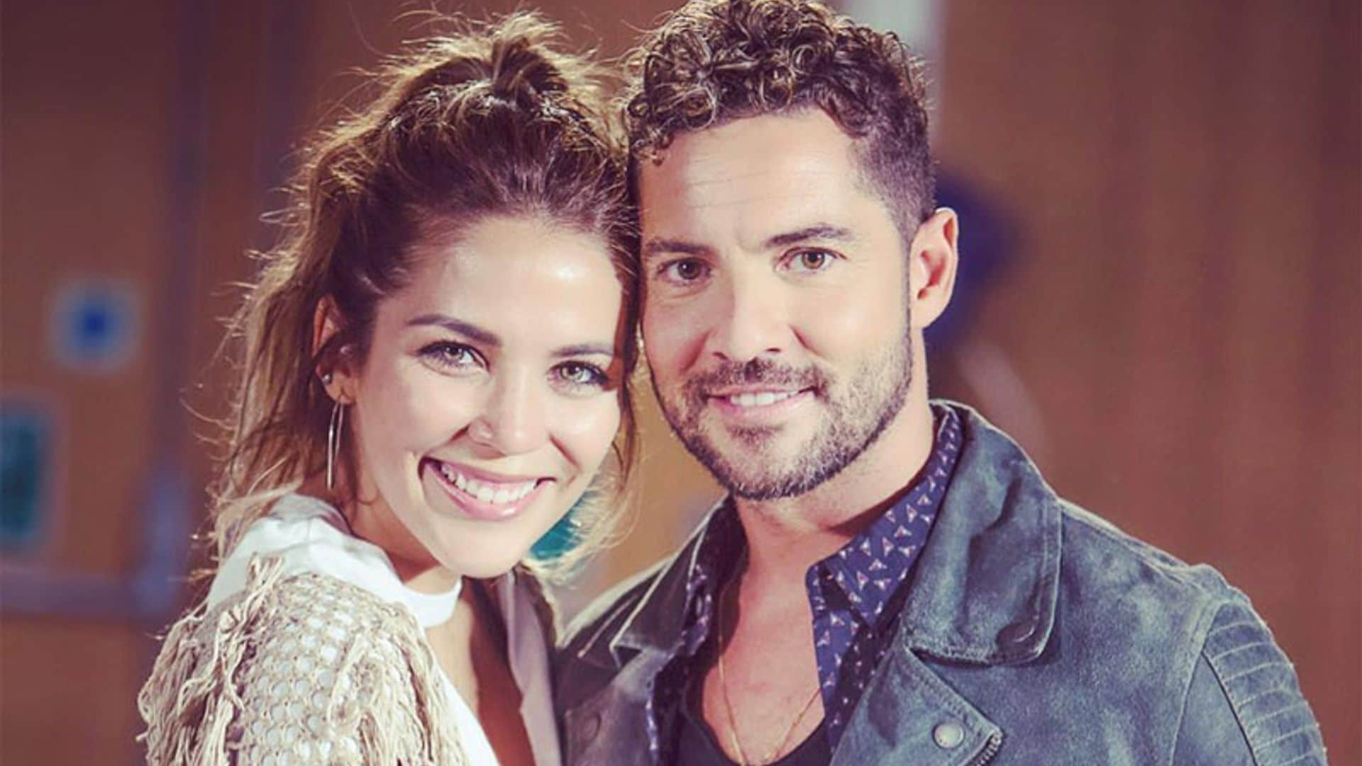 David Bisbal y Rosanna Zanetti van a ser padres