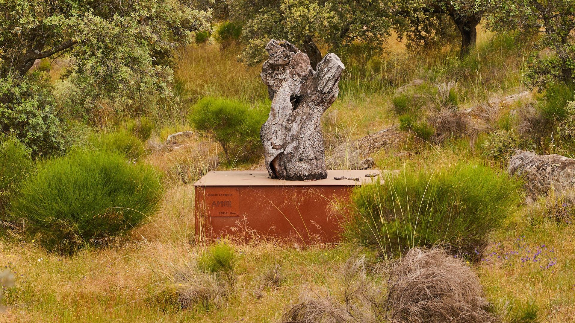 Detalles de los alrededores de la finca