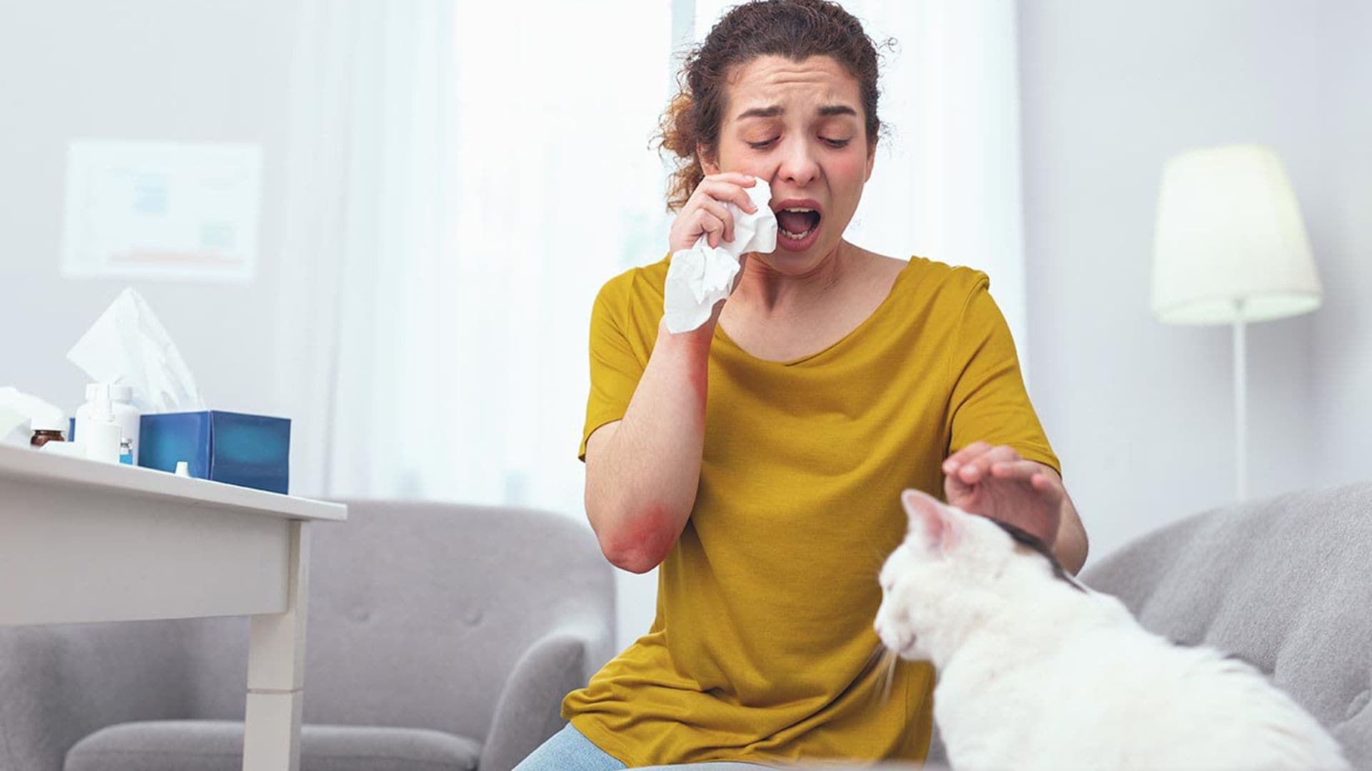 Trucos para combatir la alergia a los gatos