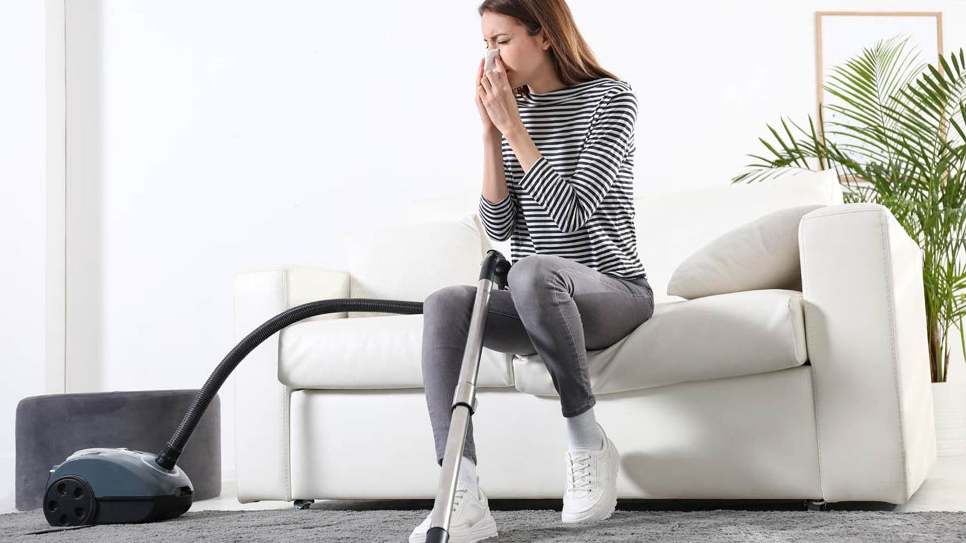 Medidas eficaces para prevenir la alergia dentro de casa