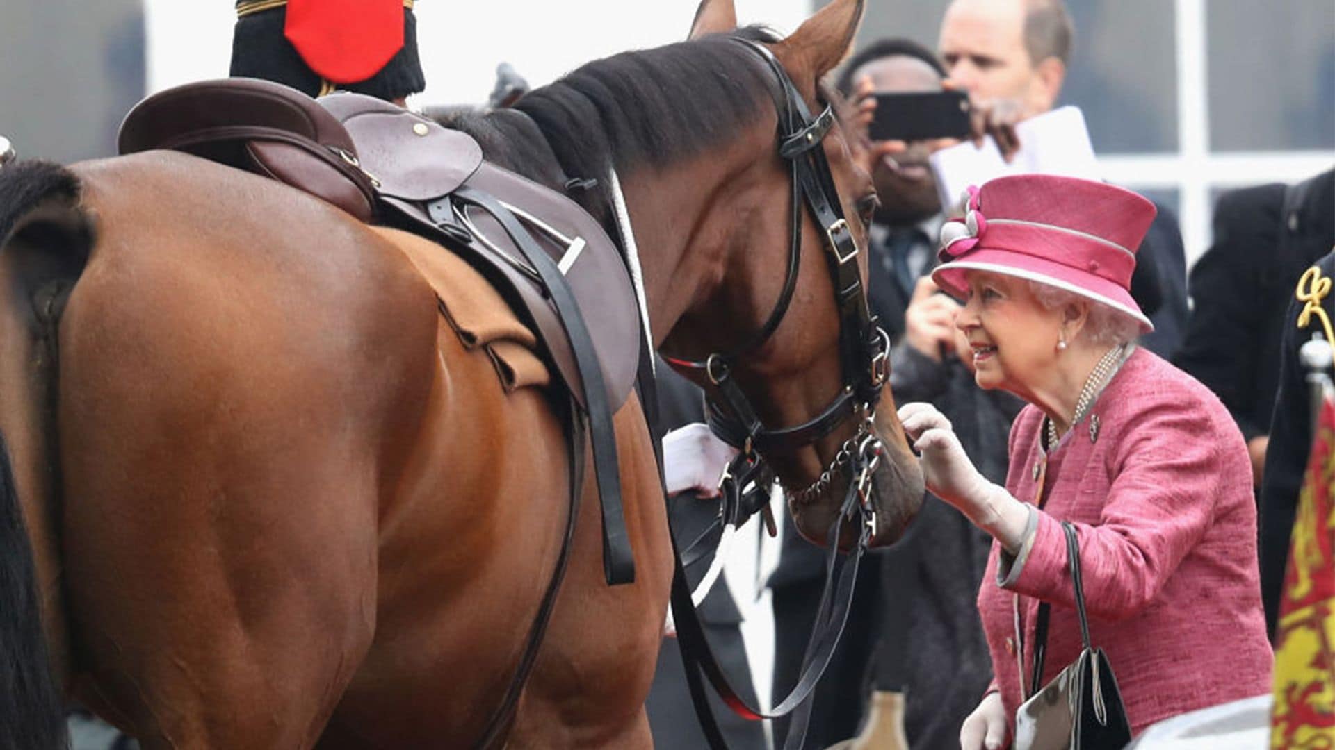 ¿Quién cuidará ahora de Emma? Así está la adorada poni de Isabel II tras el fallecimiento de la Reina