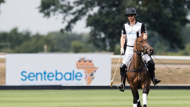 sentebale polo 2018