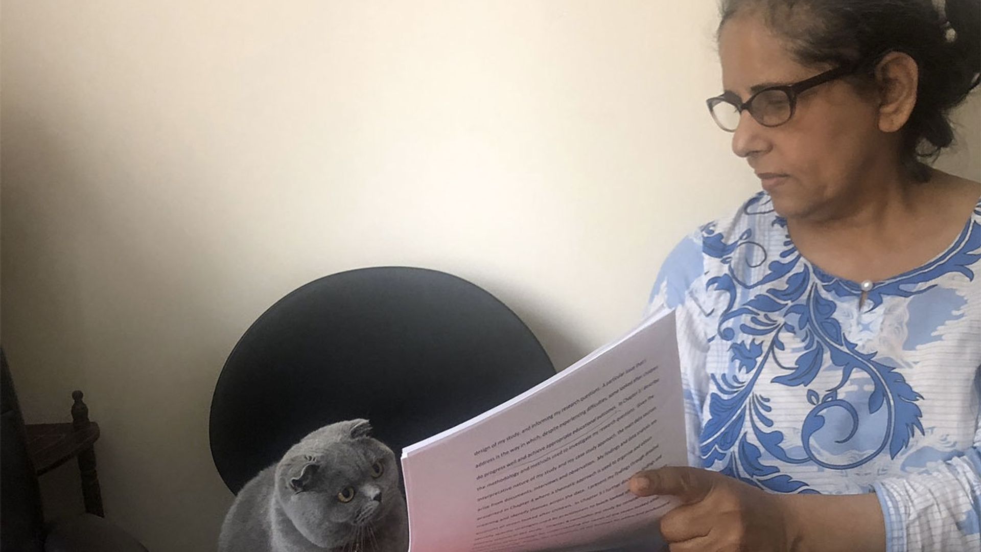 El gato del examen y otros memes felinos que recordaremos de 2019